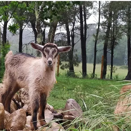 Quinta Do Vale * Valenca