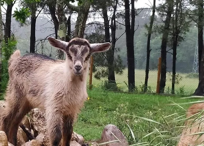 Quinta Do Vale * Valenca
